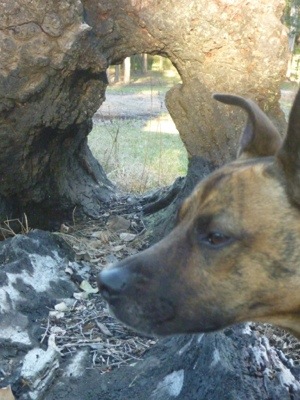 20120703-200513.jpg