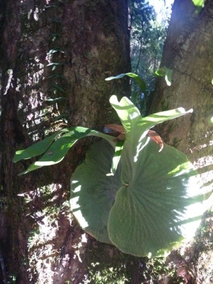 20120703-200540.jpg
