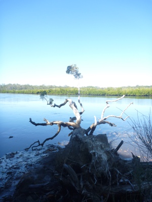 20120706-193746.jpg