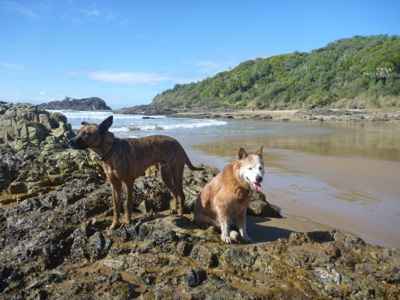 20120708-170121.jpg