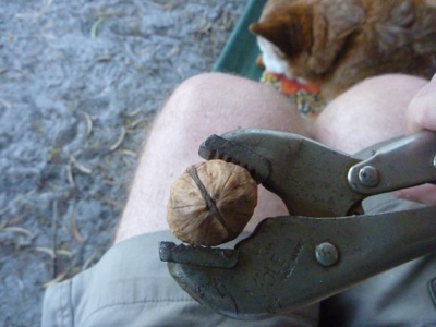 20120708-171159.jpg