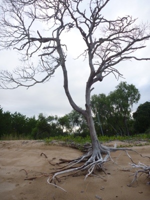 20120713-124129.jpg
