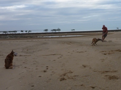 20120713-124706.jpg