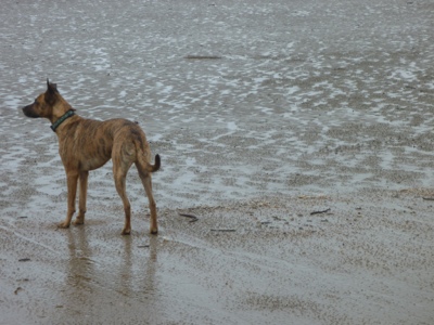 20120713-142318.jpg