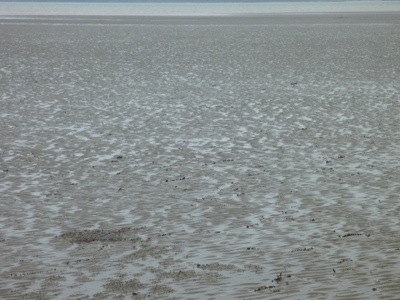 20120713-142601.jpg