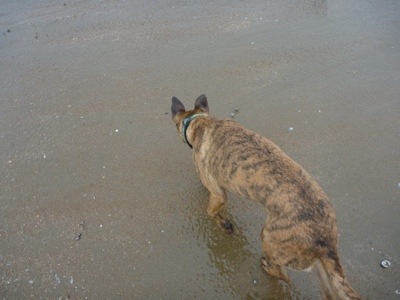 20120713-142701.jpg