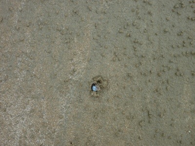 20120713-142752.jpg