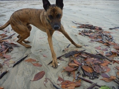 20120713-173513.jpg