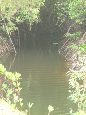 20120713-173523.jpg