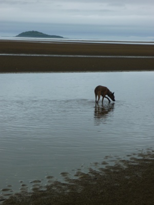 20120713-181623.jpg