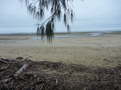 20120713-181737.jpg