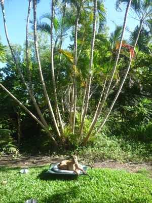 20120721-173008.jpg