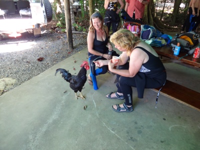 20120810-205010.jpg