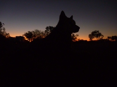 20120813-212113.jpg