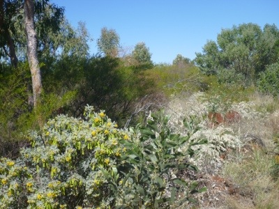 20120813-212849.jpg