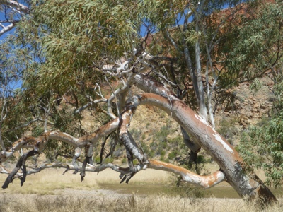 20120824-201344.jpg