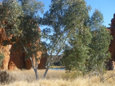 20120824-202001.jpg