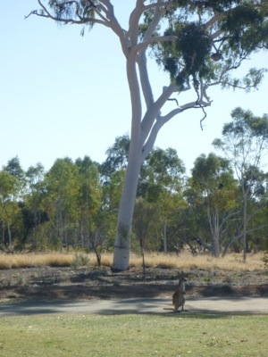 20120824-205016.jpg