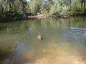20120828-184745.jpg