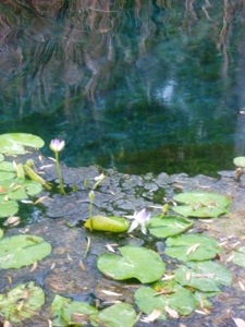 20120828-184935.jpg