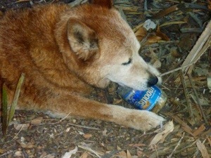 20120828-192944.jpg