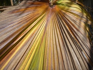 20120829-194749.jpg