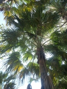 20120829-195619.jpg