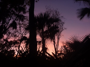 20120830-153436.jpg