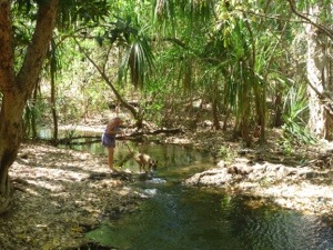 20120902-170809.jpg