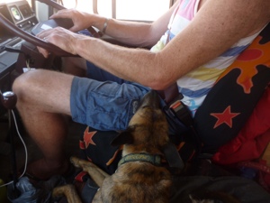 20120906-092157.jpg