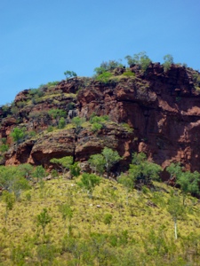 20120911-094256.jpg