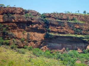 20120911-094305.jpg