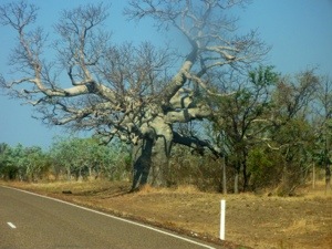 20120911-094419.jpg