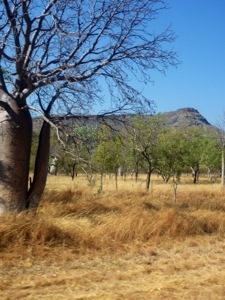 20120911-101828.jpg
