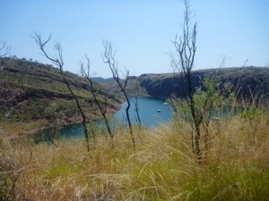 20120911-105326.jpg