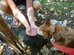20120911-105816.jpg