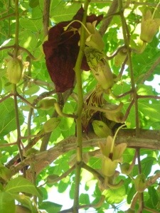 20120911-105826.jpg