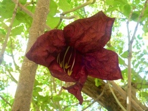 20120911-105833.jpg