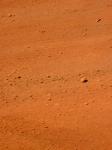20120911-160220.jpg