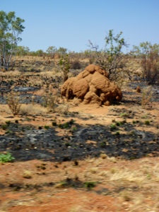 20120911-160403.jpg