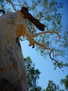 20120911-160621.jpg