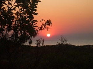 20120911-163107.jpg