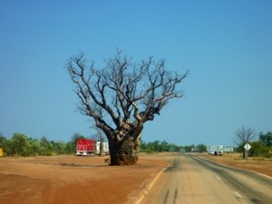 20120911-170857.jpg