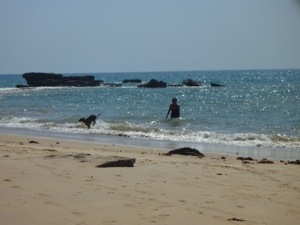 20120913-201115.jpg