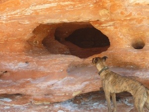 20120913-201331.jpg