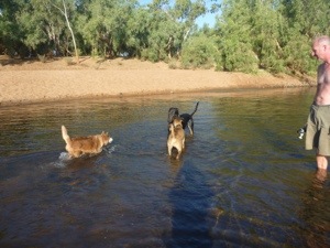 20120914-210101.jpg