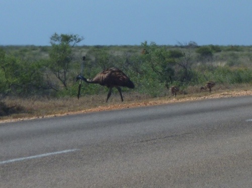 20120918-193700.jpg