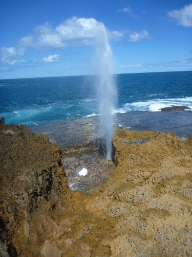 20120930-143611.jpg