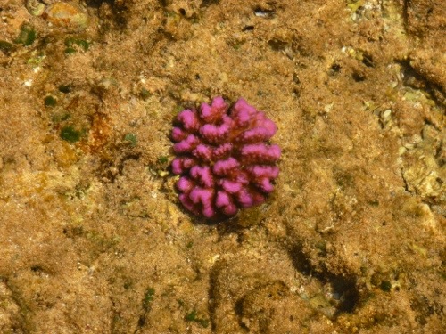 20120930-160202.jpg