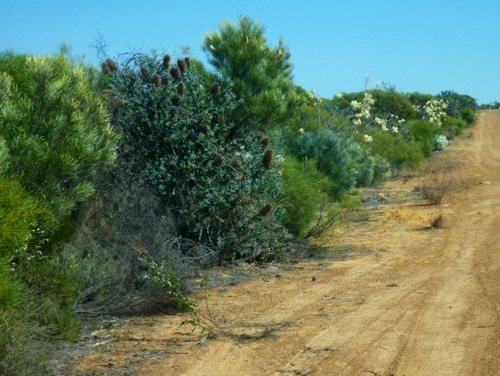 20121009-181255.jpg